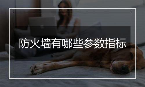 防火墙有哪些参数指标