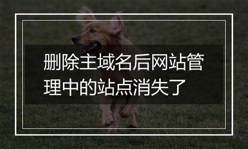 删除主域名后网站管理中的站点消失了