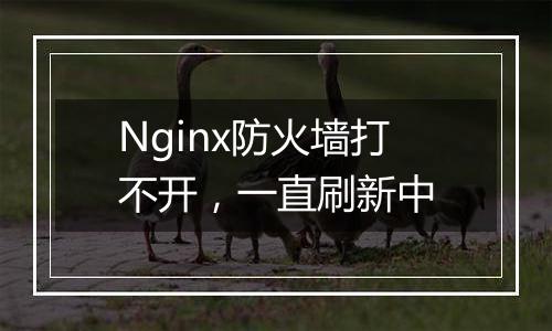 Nginx防火墙打不开,一直刷新中