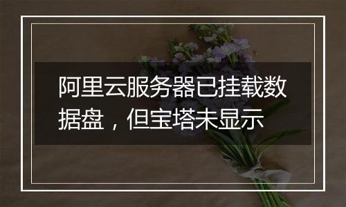 阿里云服务器已挂载数据盘，但宝塔未显示