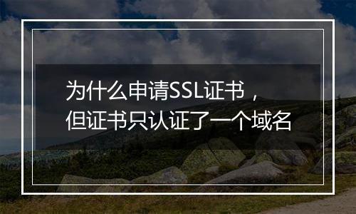 为什么申请SSL证书,但证书只认证了一个域名