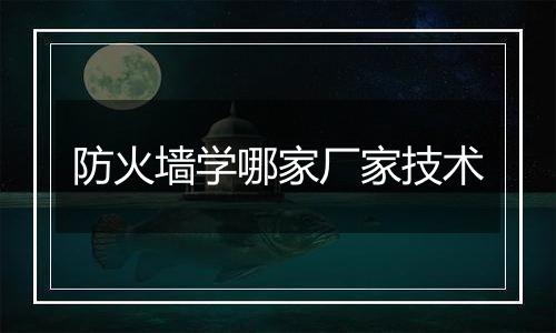 防火墙学哪家厂家技术