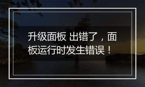 升级面板 出错了,面板运行时发生错误!