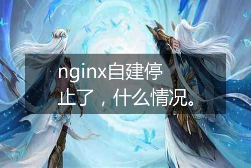nginx自建停止了,什么情况。