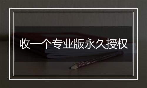 收一个专业版永久授权