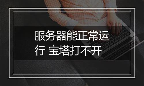 服务器能正常运行 宝塔打不开