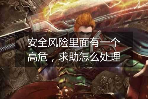 安全风险里面有一个高危,求助怎么处理
