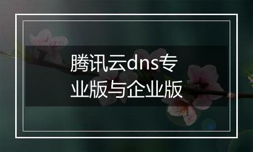 腾讯云dns专业版与企业版