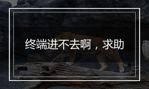 终端进不去啊,求助
