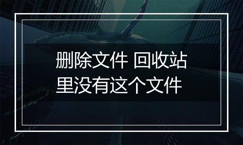 删除文件 回收站里没有这个文件