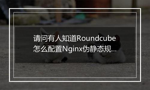 请问有人知道Roundcube怎么配置Nginx伪静态规则吗