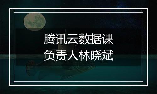 腾讯云数据课负责人林晓斌