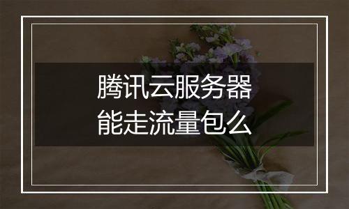 腾讯云服务器能走流量包么