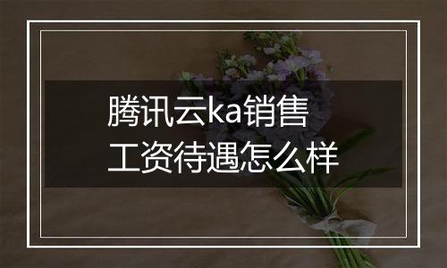 腾讯云ka销售工资待遇怎么样