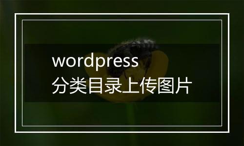 wordpress分类目录上传图片