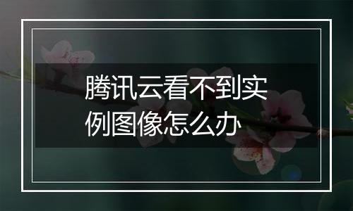 腾讯云看不到实例图像怎么办