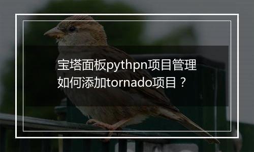 宝塔面板pythpn项目管理如何添加tornado项目?