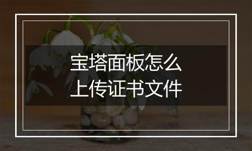 宝塔面板怎么上传证书文件