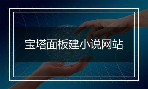 宝塔面板建小说网站