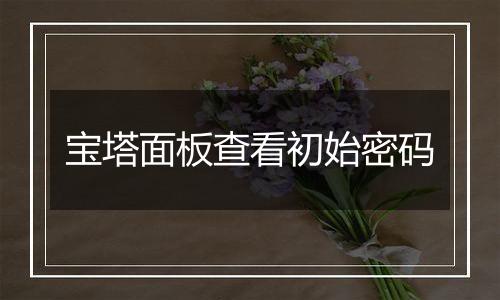 宝塔面板查看初始密码