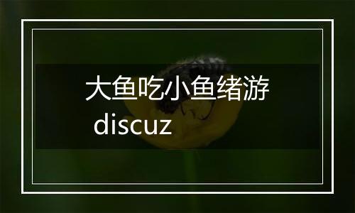 大鱼吃小鱼绪游 discuz