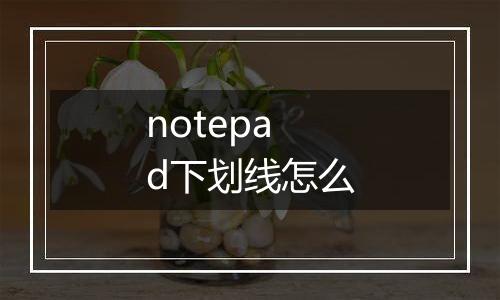 notepad下划线怎么