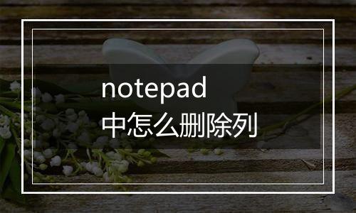 notepad中怎么删除列