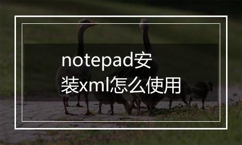notepad安装xml怎么使用