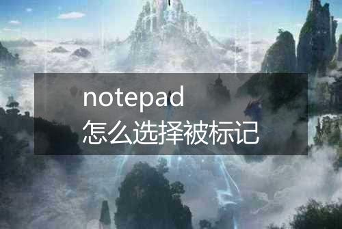 notepad怎么选择被标记
