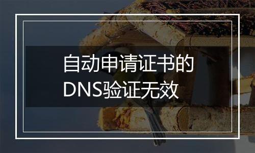 自动申请证书的DNS验证无效