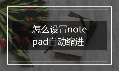 怎么设置notepad自动缩进