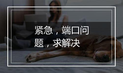 紧急，端口问题，求解决