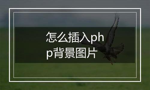 怎么插入php背景图片