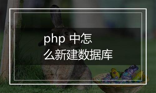 php 中怎么新建数据库