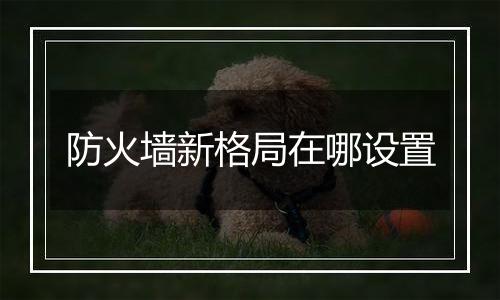 防火墙新格局在哪设置