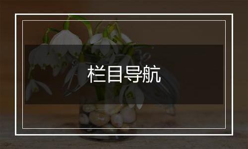 栏目导航