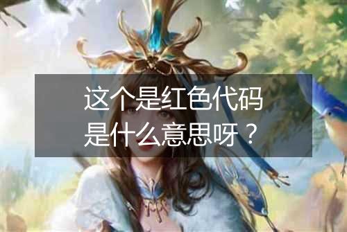这个是红色代码是什么意思呀?