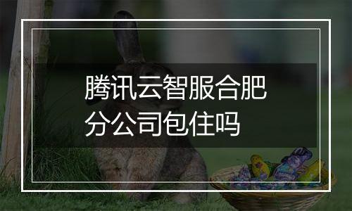 腾讯云智服合肥分公司包住吗