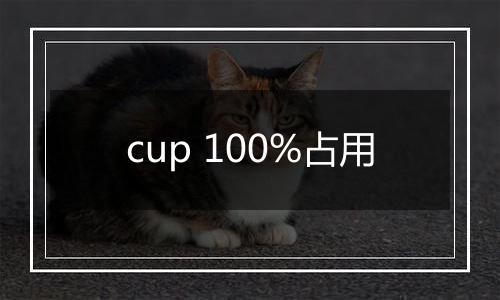 cup 100%占用