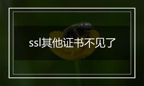 ssl其他证书不见了