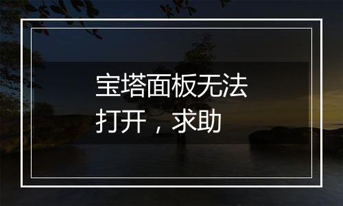 宝塔面板无法打开，求助