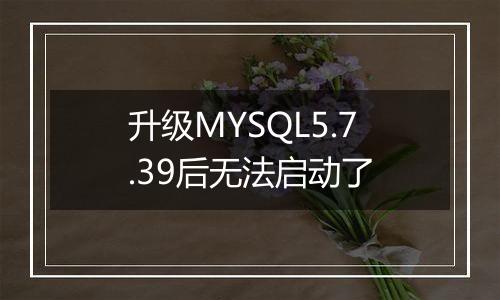 升级MYSQL5.7.39后无法启动了