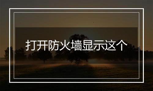 打开防火墙显示这个