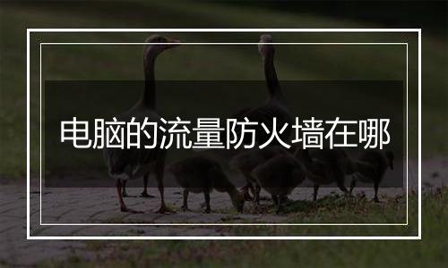 电脑的流量防火墙在哪