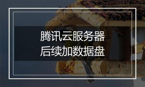 腾讯云服务器后续加数据盘