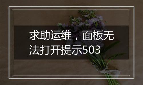 求助运维，面板无法打开提示503