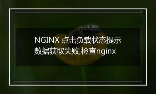 NGINX 点击负载状态提示数据获取失败,检查nginx