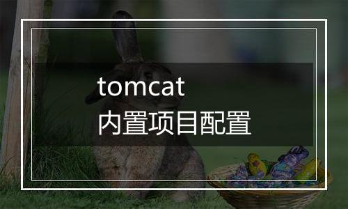 tomcat 内置项目配置