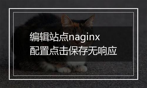 编辑站点naginx配置点击保存无响应