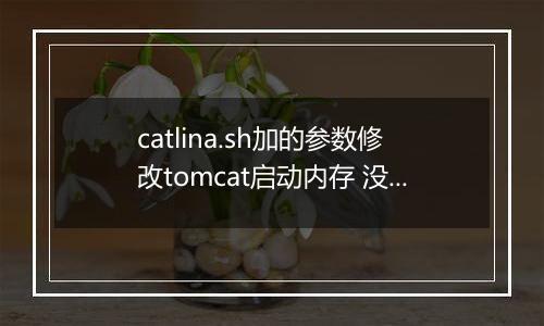 catlina.sh加的参数修改tomcat启动内存 没有生效